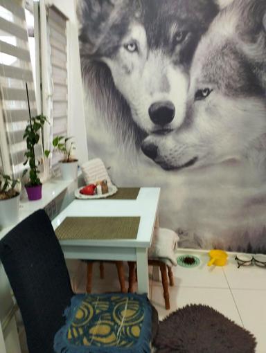 House by the address st. Efimova (area 40 m²) - Atlanta.ua - photo 21