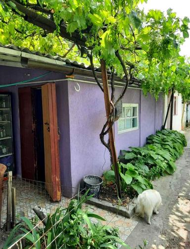 House by the address st. Efimova (area 40 m²) - Atlanta.ua - photo 28