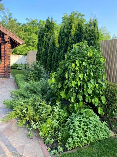 Дом по адресу пер. Энергетиков (площадь 282,9 м²) - Atlanta.ua - фото 83