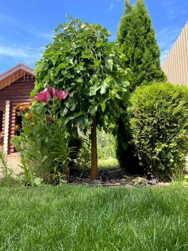 Дом по адресу пер. Энергетиков (площадь 282,9 м²) - Atlanta.ua - фото 84