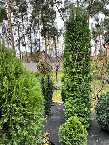 House by the address st. Khmelnitskogo B (area 70 m²) - Atlanta.ua - photo 230