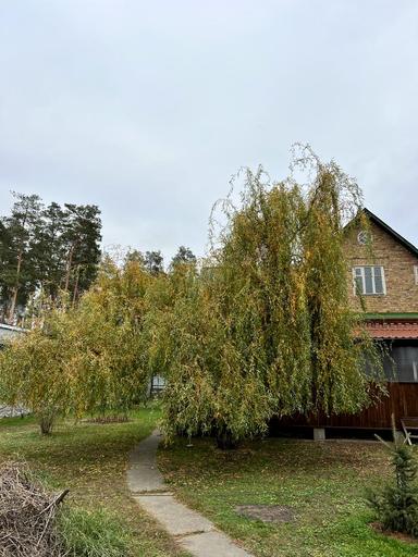 House by the address st. Khmelnitskogo B (area 70 m²) - Atlanta.ua - photo 258