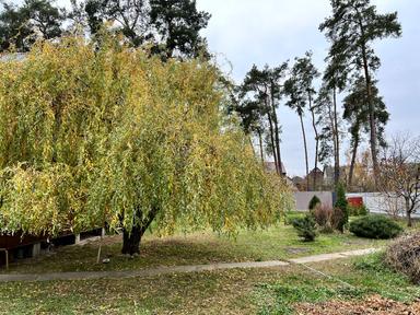 House by the address st. Khmelnitskogo B (area 70 m²) - Atlanta.ua - photo 261