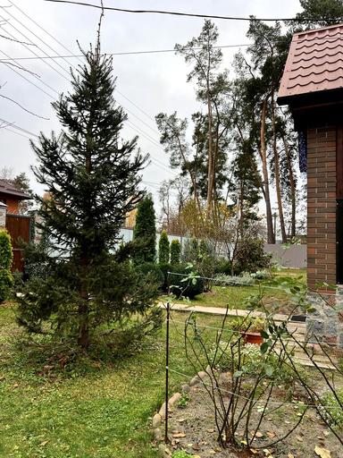 House by the address st. Khmelnitskogo B (area 70 m²) - Atlanta.ua - photo 268