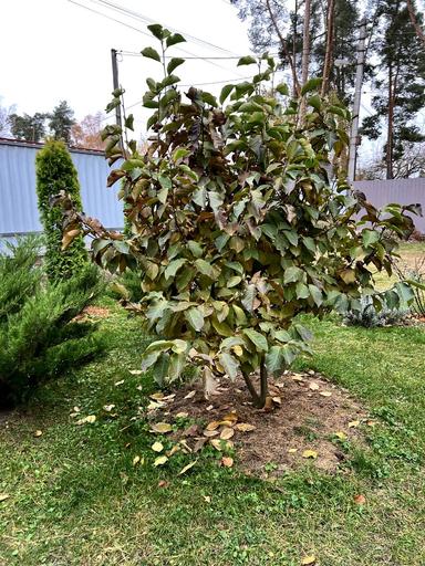 House by the address st. Khmelnitskogo B (area 70 m²) - Atlanta.ua - photo 276