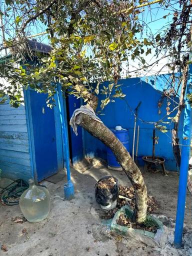 Будинок за адресою Свободи пр. (площа 37 м²) - Atlanta.ua - фото 10