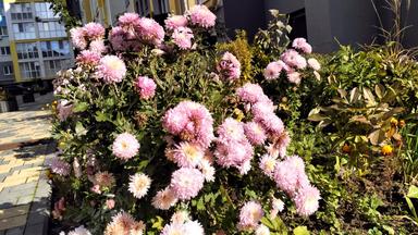 2-комнатная квартира по адресу ул. Васильковская (площадь 57 м²) - Atlanta.ua - фото 13