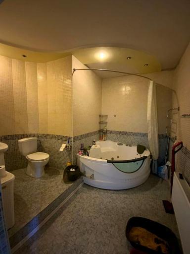 Дом по адресу ул. Ромашковая (площадь 237 м²) - Atlanta.ua - фото 28