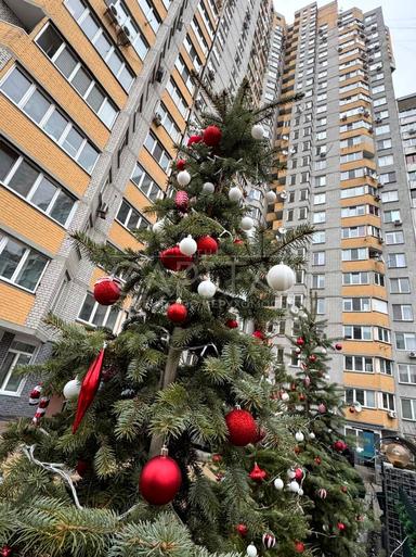 Комерційна нерухомість за адресою вул. Здолбунівська (площа 255 м²) - Atlanta.ua - фото 31