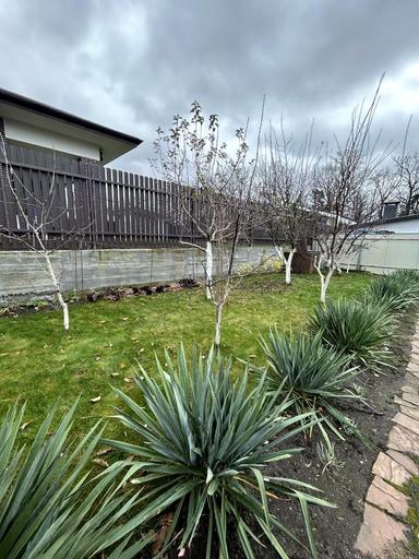 Дом по адресу (площадь 88 м²) - Atlanta.ua - фото 99