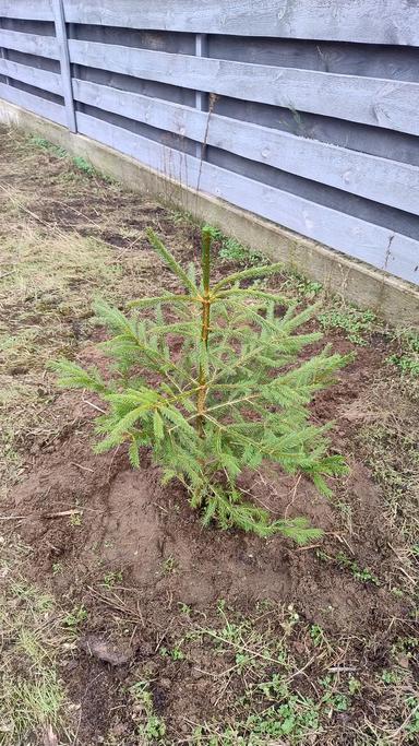 Будинок за адресою (площа 125 м²) - Atlanta.ua - фото 50