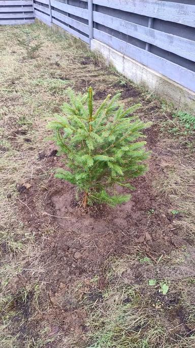 Будинок за адресою (площа 125 м²) - Atlanta.ua - фото 51