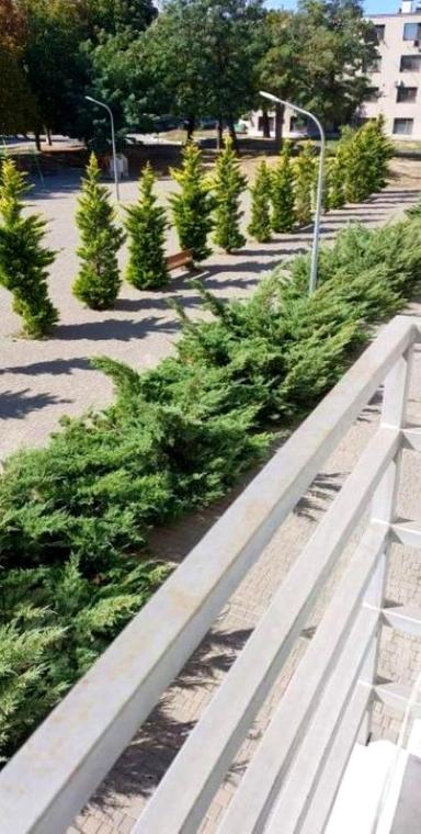 1-room apartment apartment by the address st. Khimicheskaya (area 30 m²) - Atlanta.ua - photo 6