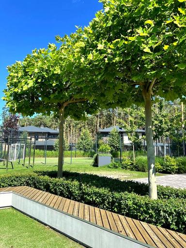 Дом по адресу ул. Институтская (площадь 217 м²) - Atlanta.ua - фото 44