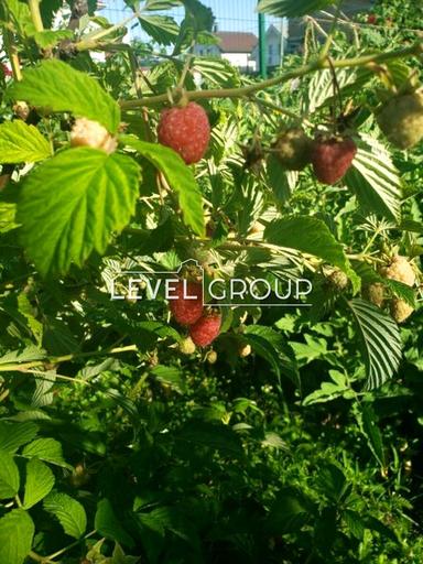 Дом по адресу пер. Энергетиков (площадь 190 м²) - Atlanta.ua - фото 35