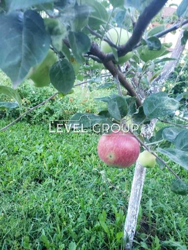 Дом по адресу пер. Энергетиков (площадь 190 м²) - Atlanta.ua - фото 34