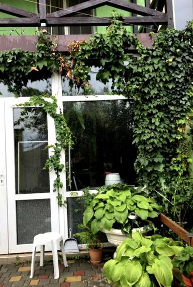 Будинок за адресою вул. Центральна (площа 150 м²) - Atlanta.ua - фото 15