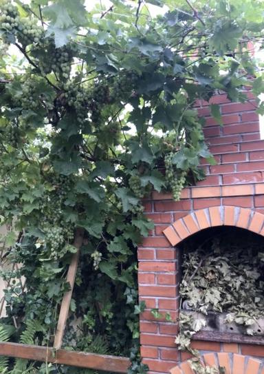 Будинок за адресою вул. Центральна (площа 150 м²) - Atlanta.ua - фото 16