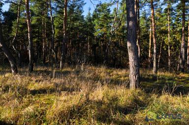 Будинок за адресою (площа 151 м²) - Atlanta.ua - фото 33