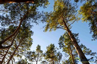 Будинок за адресою (площа 151 м²) - Atlanta.ua - фото 34