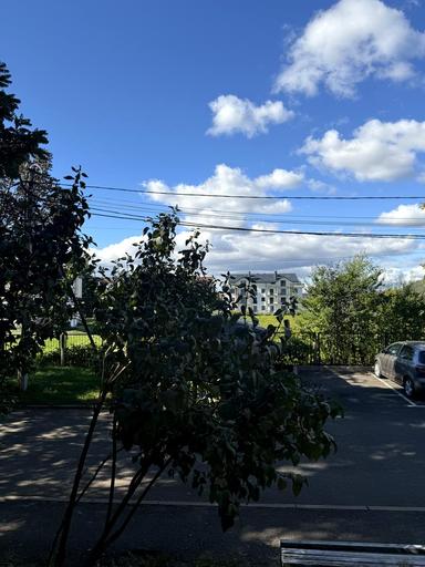 Многокомнатная квартира по адресу ул. Галицкого Даниила (площадь 87,5 м²) - Atlanta.ua - фото 20