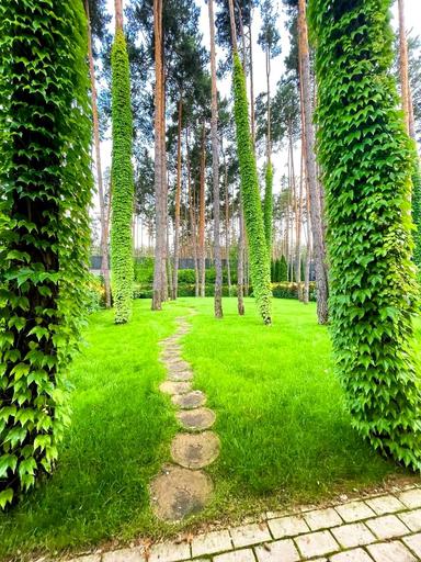 Дом по адресу ул. Гоголя (площадь 160 м²) - Atlanta.ua - фото 63