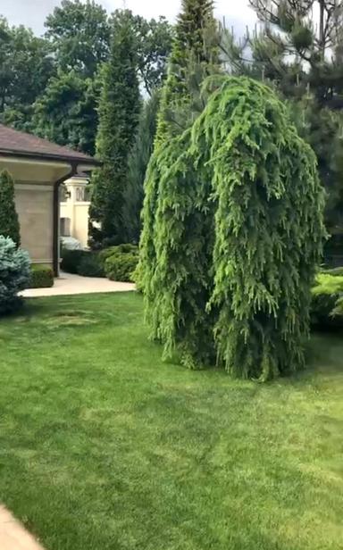 Дом по адресу Фонтанская дор. (площадь 1200 м²) - Atlanta.ua - фото 20