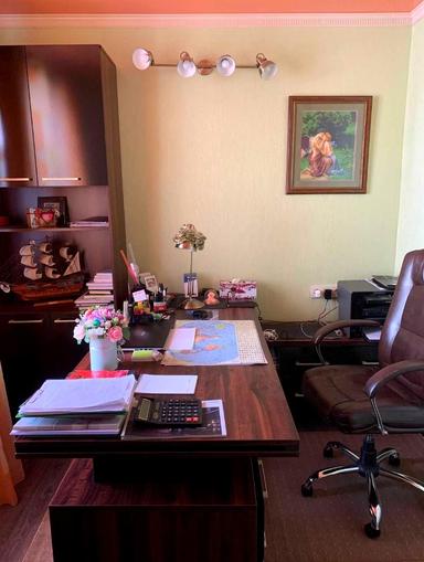 House by the address (area 234,8 m²) - Atlanta.ua - photo 13