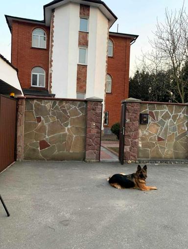 House by the address (area 234,8 m²) - Atlanta.ua - photo 12