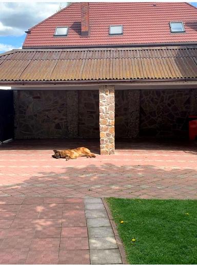 House by the address (area 234,8 m²) - Atlanta.ua - photo 21