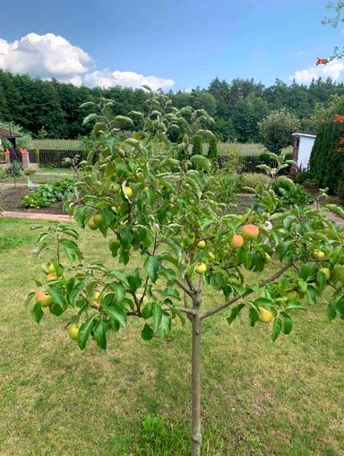 House by the address (area 234,8 m²) - Atlanta.ua - photo 22