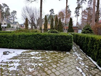 Дом по адресу (площадь 802 м²) - Atlanta.ua - фото 64