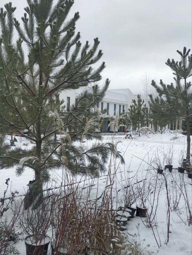 House by the address (area 144 m²) - Atlanta.ua - photo 47