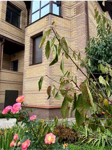 House by the address (area 497 m²) - Atlanta.ua - photo 5