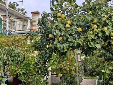 The object is removed from sale. - Atlanta.ua - photo 35