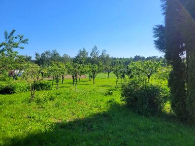 Дом по адресу (площадь 320 м²) - Atlanta.ua - фото 28