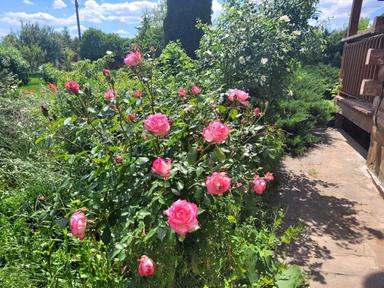 Дом по адресу (площадь 320 м²) - Atlanta.ua - фото 29