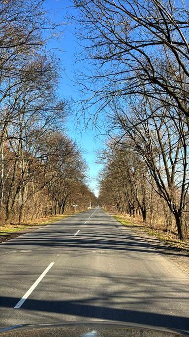 Будинок за адресою (площа 530 м²) - Atlanta.ua - фото 60