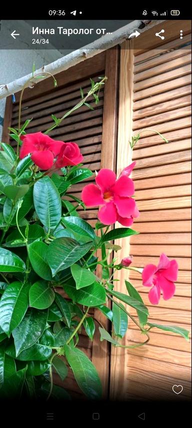 1-комнатная квартира по адресу Бажана пр. (площадь 40 м²) - Atlanta.ua - фото 11