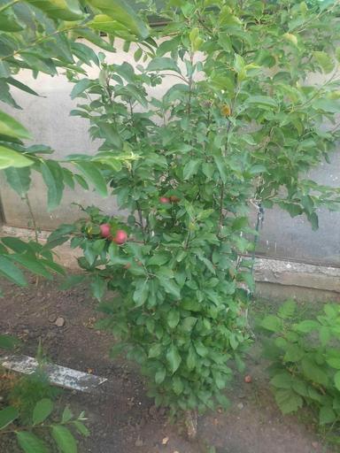 Дом по адресу ул. Королева ак. (площадь 156 м²) - Atlanta.ua - фото 25