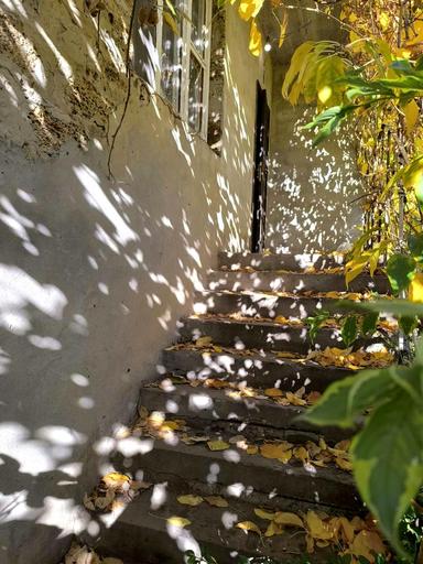 House by the address st. Abrikosovaya (area 200 m²) - Atlanta.ua - photo 14