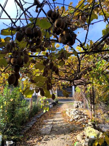 House by the address st. Abrikosovaya (area 200 m²) - Atlanta.ua - photo 18