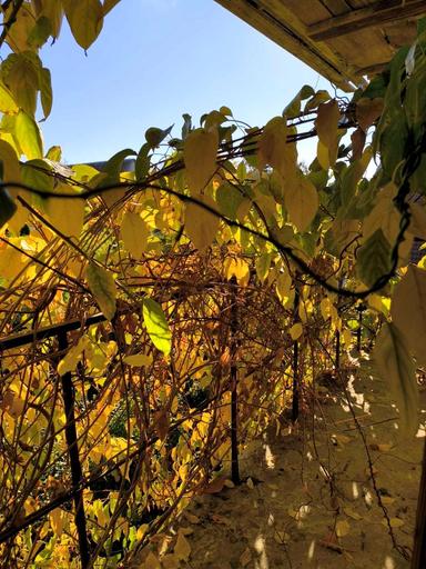 House by the address st. Abrikosovaya (area 200 m²) - Atlanta.ua - photo 17