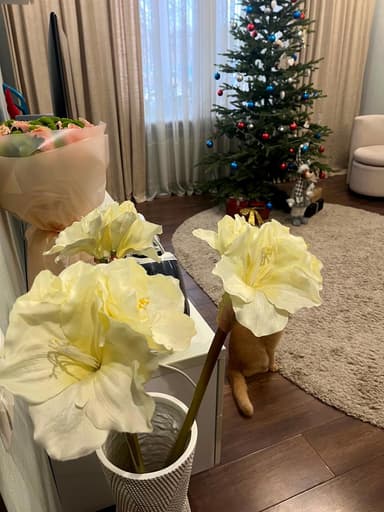 3-комнатная квартира по адресу ул. Победы (площадь 61 м²) - Atlanta.ua - imageAlt 31