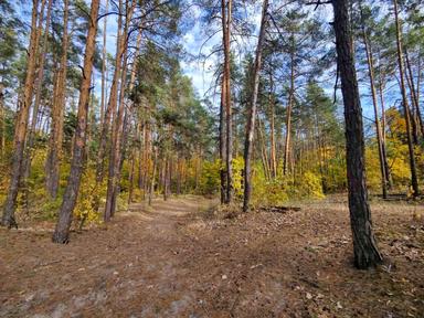 Будинок за адресою (площа 150 м²) - Atlanta.ua - фото 12