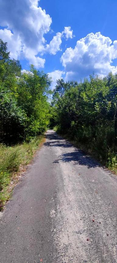 Дом по адресу (площадь 150 м²) - Atlanta.ua - фото 61