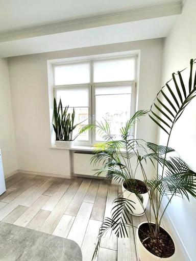 Комерційна нерухомість за адресою вул. Круглоуніверситетська (площа 400 м²) - Atlanta.ua - фото 48