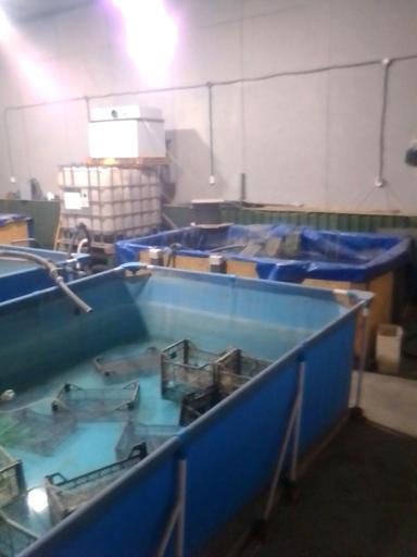 Комерційна нерухомість за адресою (площа 1200 м²) - Atlanta.ua - фото 26