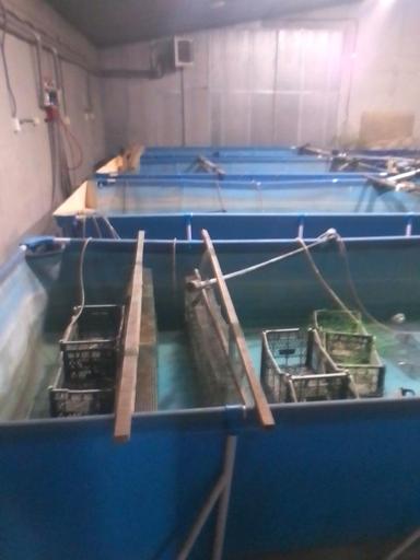 Комерційна нерухомість за адресою (площа 1200 м²) - Atlanta.ua - фото 24