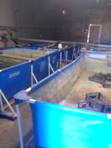 Комерційна нерухомість за адресою (площа 1200 м²) - Atlanta.ua - фото 28